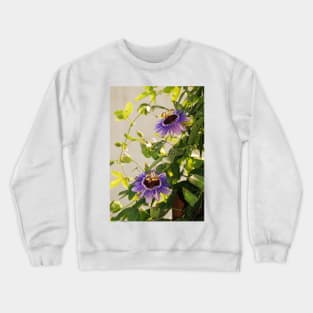 Purple Haze Passifloras Crewneck Sweatshirt